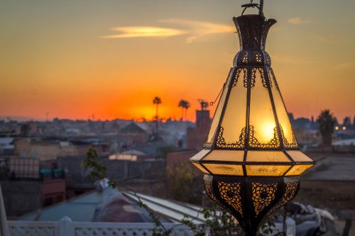 11 adobestock 216427273
